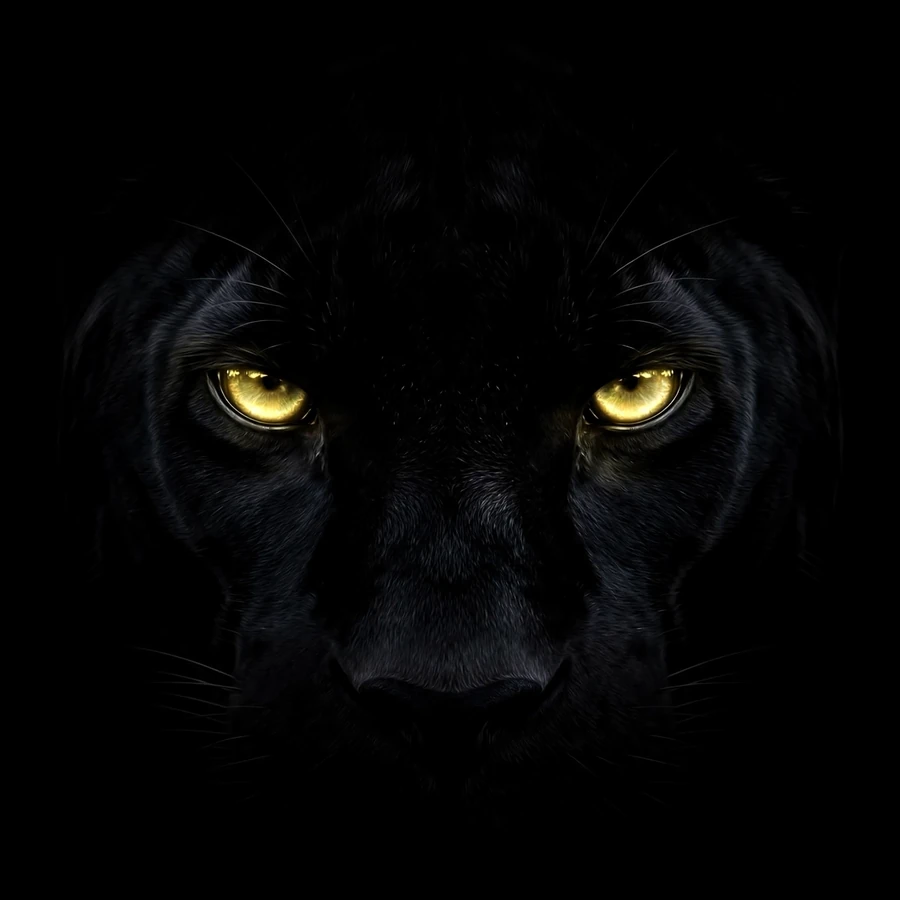 Black aesthetic pfp: panther eyes glowing in pure black void