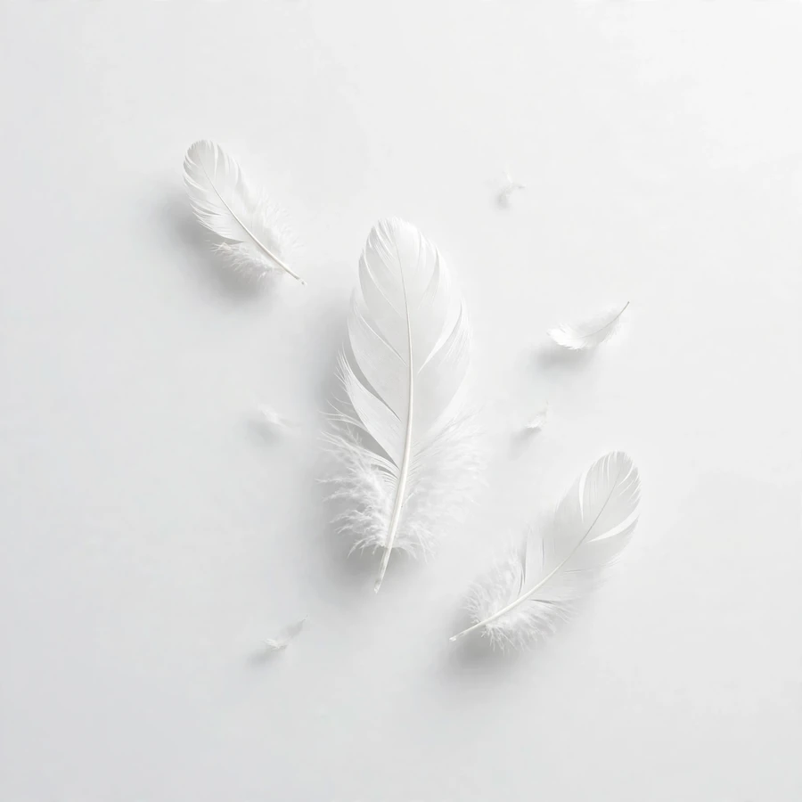 White pfp aesthetic: minimal white feathers on light background